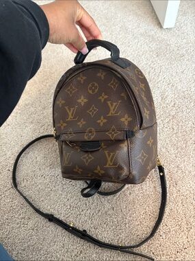 Louis Vuitton Palm Springs Mini Backpack Monogram
